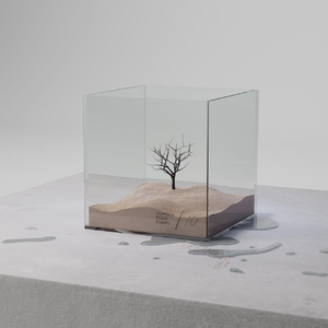 欧美美女另类性无四肢人
