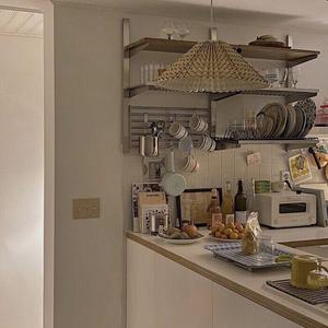 欧美美女另类性无四肢人
